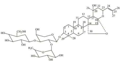 screenshot-2024-03-17-at-5-20-08-pm